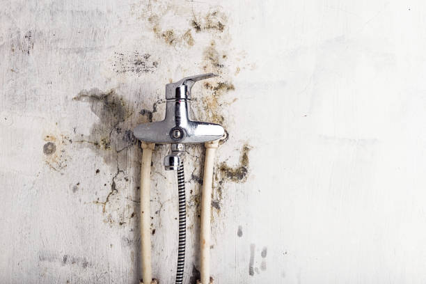 Water Damage Restoration in Stepney, CT