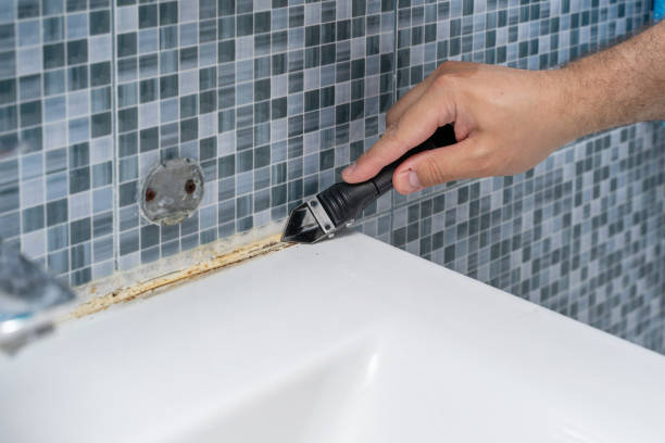 Best Mold Remediation  in Stepney, CT