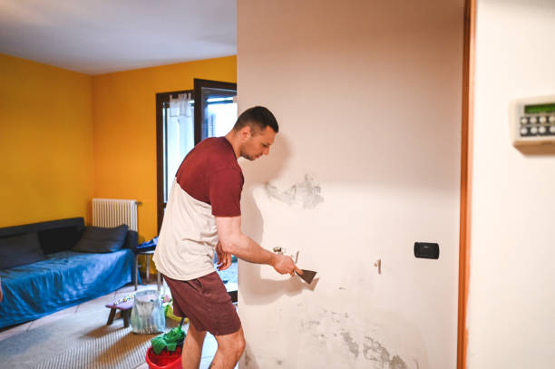 Best Mold Inspection  in Stepney, CT